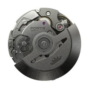 Fortis Unknown