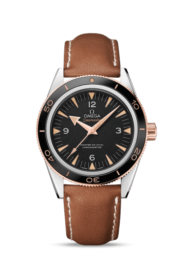 Omega Seamaster 300 Master Co-Axial Steel Stainless Steel / Sedna Gold / Strap