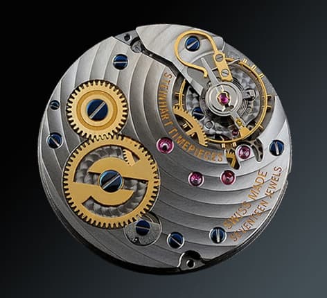 Steinhart Unknown